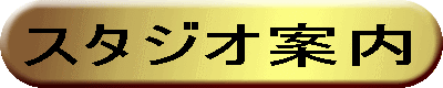 �X�^�W�I�ē�